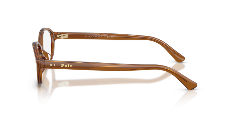 Polo Ralph Lauren PH2311U in Shiny Transparent Brown - Alternate View