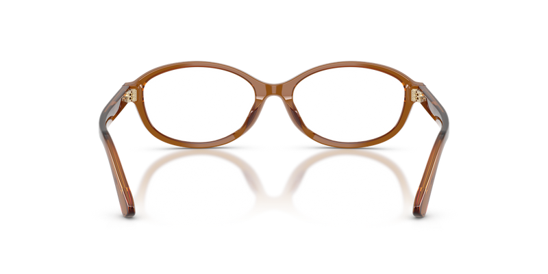 Polo Ralph Lauren PH2311U in Shiny Transparent Brown - Alternate View