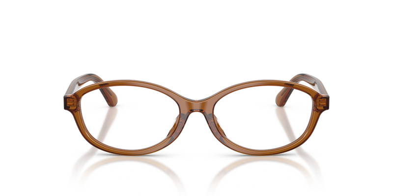 Polo Ralph Lauren PH2311U in Shiny Transparent Brown - Alternate View
