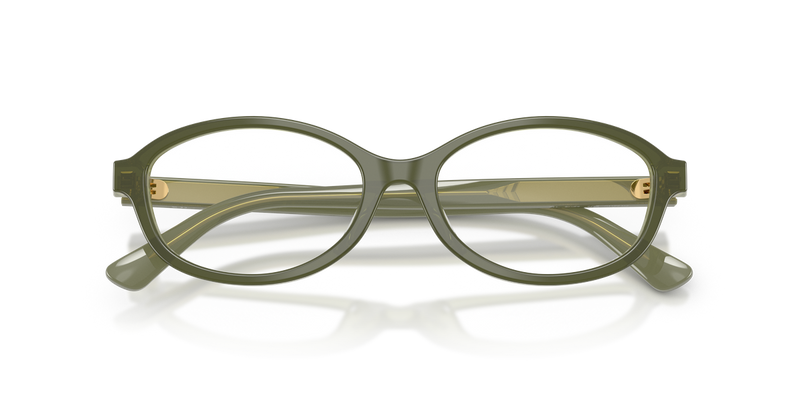 Polo Ralph Lauren PH2311U in Shiny Opaline Green - Alternate View