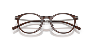 Shiny Transparent Brown / Demo Lens (6282)