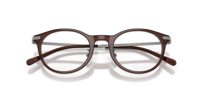 Polo Ralph Lauren PH2313D in Shiny Transparent Brown - Alternate View