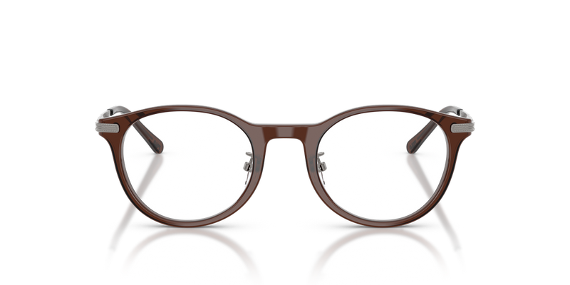 Polo Ralph Lauren PH2313D in Shiny Transparent Brown - Alternate View