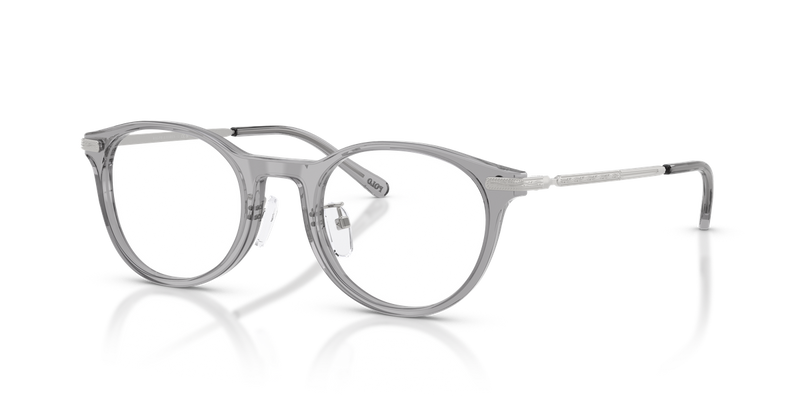 Polo Ralph Lauren PH2313D in Shiny Transparent Grey - Alternate View