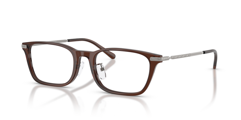 Polo Ralph Lauren PH2314D in Shiny Transparent Brown - Alternate View