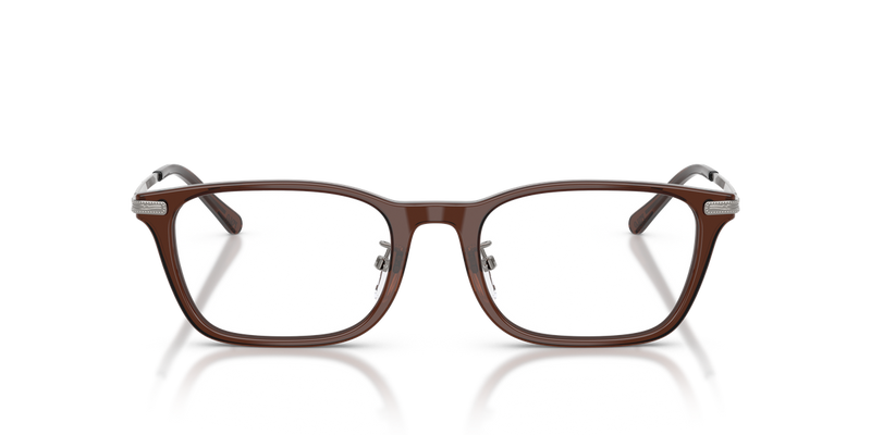 Polo Ralph Lauren PH2314D in Shiny Transparent Brown - Alternate View