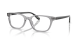 Shiny Transparent Grey / Demo Lens (6317)