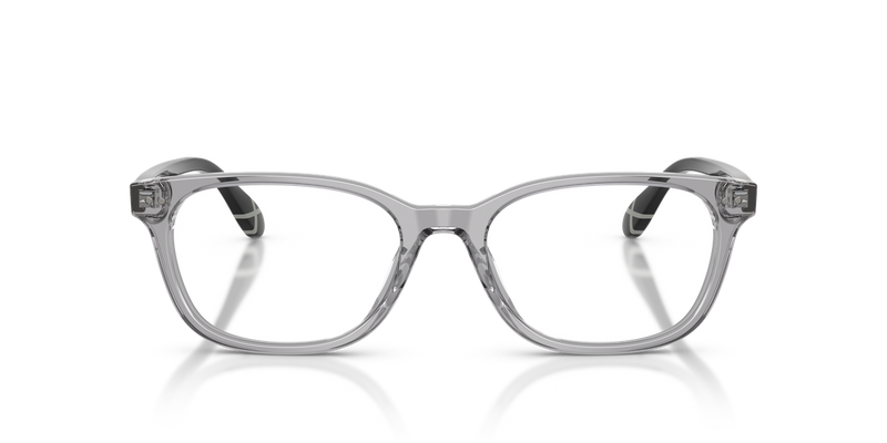 Polo Ralph Lauren PH2315U in Shiny Transparent Grey - Alternate View