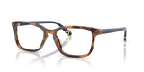 Shiny Tortoise / Demo Lens (6089)