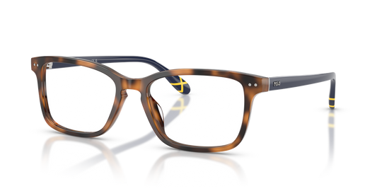 Polo Ralph Lauren PH2316U - Shiny Tortoise / Demo Lens (6089)