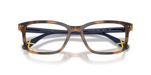 Shiny Tortoise / Demo Lens (6089)