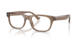 Shiny Transparent Brown Taupe / Demo Lens (6085)