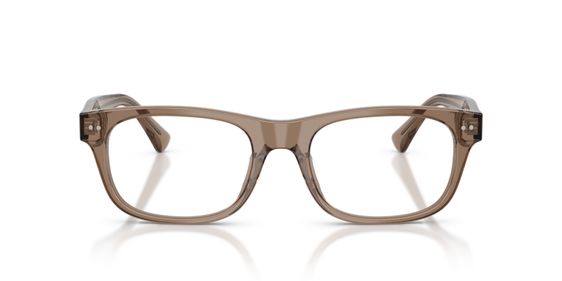 Polo Ralph Lauren PH2317F in Shiny Transparent Brown Taupe - Alternate View