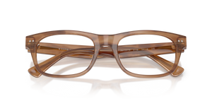 Shiny Tortoise / Demo Lens (6138)
