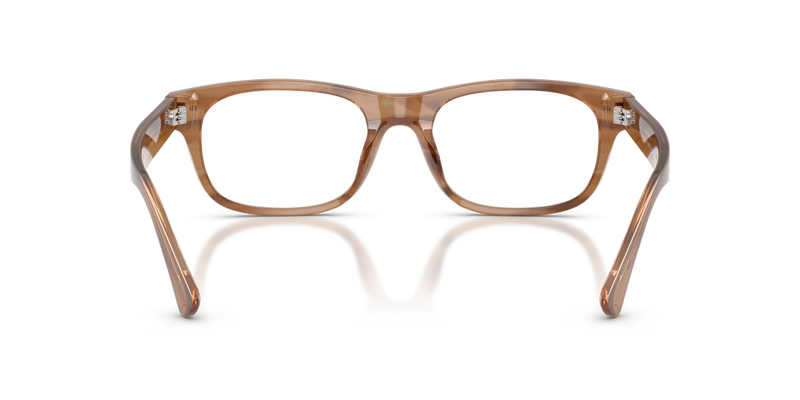 Polo Ralph Lauren PH2317F in Shiny Tortoise - Alternate View