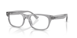 Shiny Transparent Grey / Demo Lens (6317)