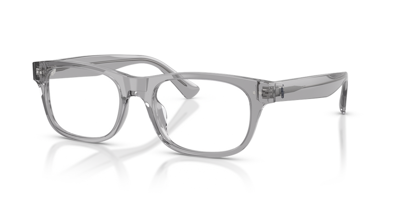 Polo Ralph Lauren PH2317F in Shiny Transparent Grey - Alternate View