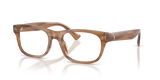 Shiny Tortoise / Demo Lens (6138)