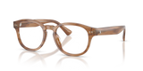 Shiny Tortoise / Demo Lens (6138)