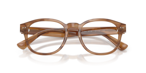 Shiny Tortoise / Demo Lens (6138)