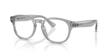 Shiny Transparent Grey / Demo Lens (6317)