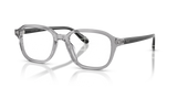 Shiny Transparent Grey / Demo Lens (6317)