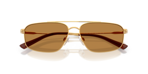 Shiny Brass / Light Brown (932493)