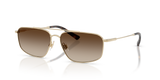Shiny Pale Gold / Brown Gradient Dark Brown (939313)