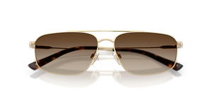 Shiny Pale Gold / Brown Gradient Dark Brown (939313)