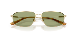 Shiny Pale Gold / Green (942582)
