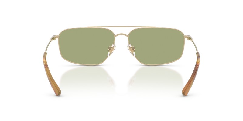 Polo Ralph Lauren PH3164 in Shiny Pale Gold - Temple Detail