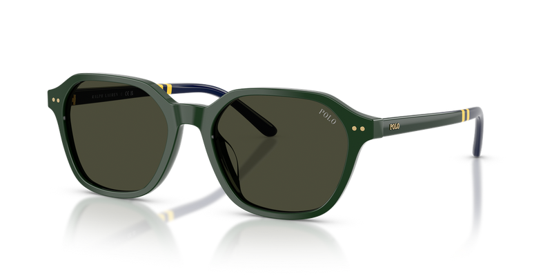 Polo Ralph Lauren PH4234U in Shiny Green / Brown (614082) - Alternate View