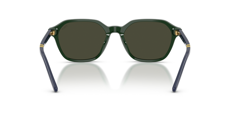 Polo Ralph Lauren PH4234U in Shiny Green / Brown (614082) - Alternate View