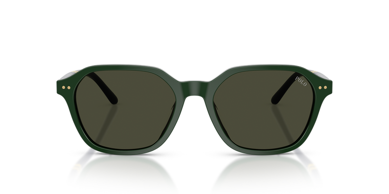 Polo Ralph Lauren PH4234U in Shiny Green / Brown (614082) - Alternate View