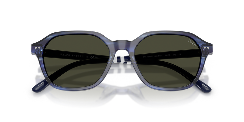 Polo Ralph Lauren PH4234U in Shiny Striped Blue / Dark Grey (631487) - Alternate View