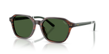 Shiny Striped Brown / Bottle Green (631571)