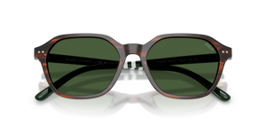 Shiny Striped Brown / Bottle Green (631571)