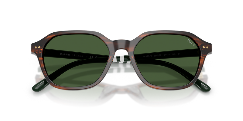 Polo Ralph Lauren PH4234U in Shiny Striped Brown / Bottle Green (631571) - Alternate View