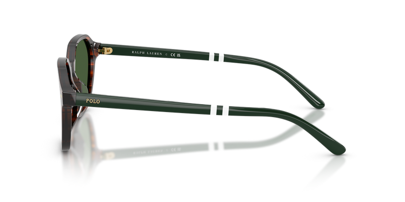 Polo Ralph Lauren PH4234U in Shiny Striped Brown / Bottle Green (631571) - Alternate View