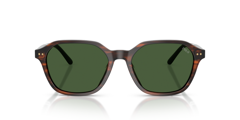 Polo Ralph Lauren PH4234U in Shiny Striped Brown / Bottle Green (631571) - Alternate View