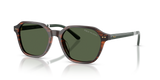 Shiny Havana / Polarized Green (63159A)