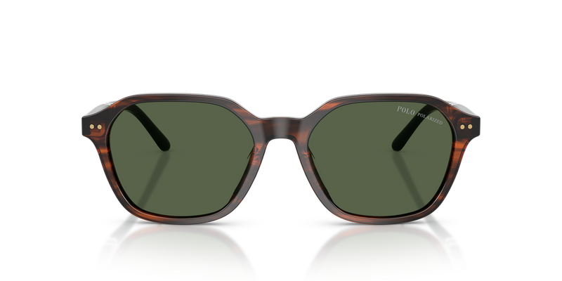 Polo Ralph Lauren PH4234U in Shiny Havana / Polarized Green (63159A) - Alternate View