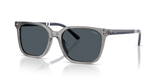 Shiny Transparent Grey / Bottle Green (631887)