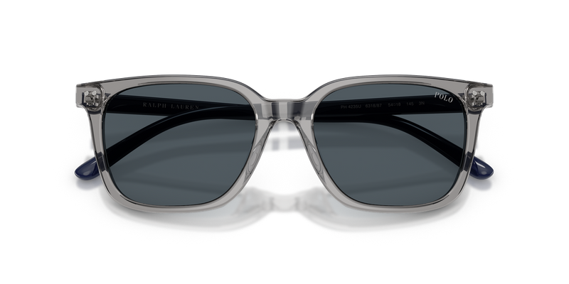 Polo Ralph Lauren PH4235U in Shiny Transparent Grey / Bottle Green (631887) - Alternate View