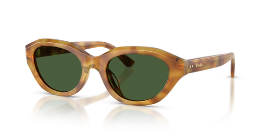 Polo Ralph Lauren PH4237U - Shiny Tortoise Light Brown / Dark Green (618571)