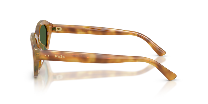 Polo Ralph Lauren PH4237U in Shiny Tortoise Light Brown - Back View