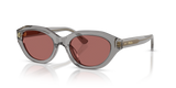 Shiny Transparent Grey / Dark Violet (631869)