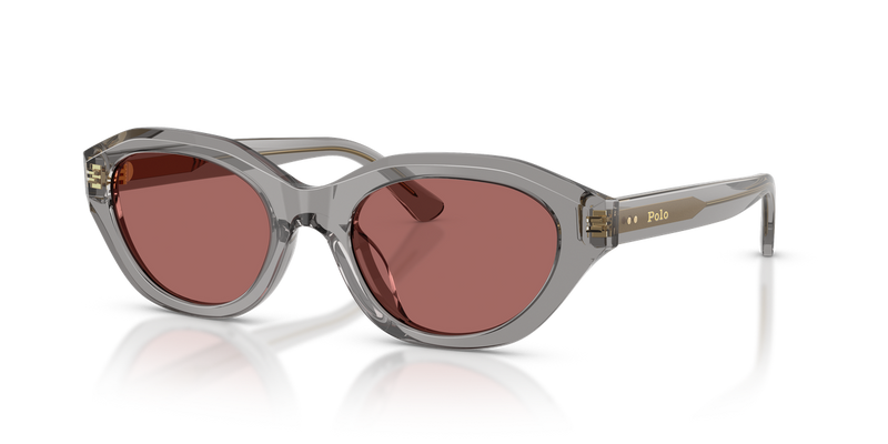 Polo Ralph Lauren PH4237U in Shiny Transparent Grey - Alternate View
