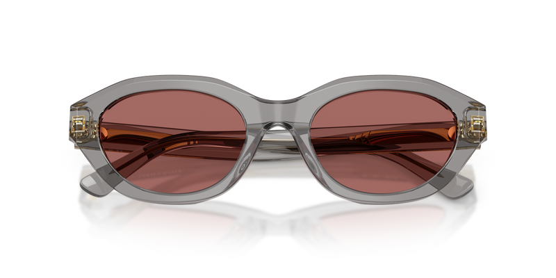 Polo Ralph Lauren PH4237U in Shiny Transparent Grey - Alternate View