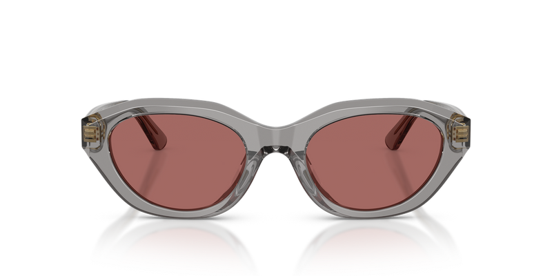 Polo Ralph Lauren PH4237U in Shiny Transparent Grey - Alternate View